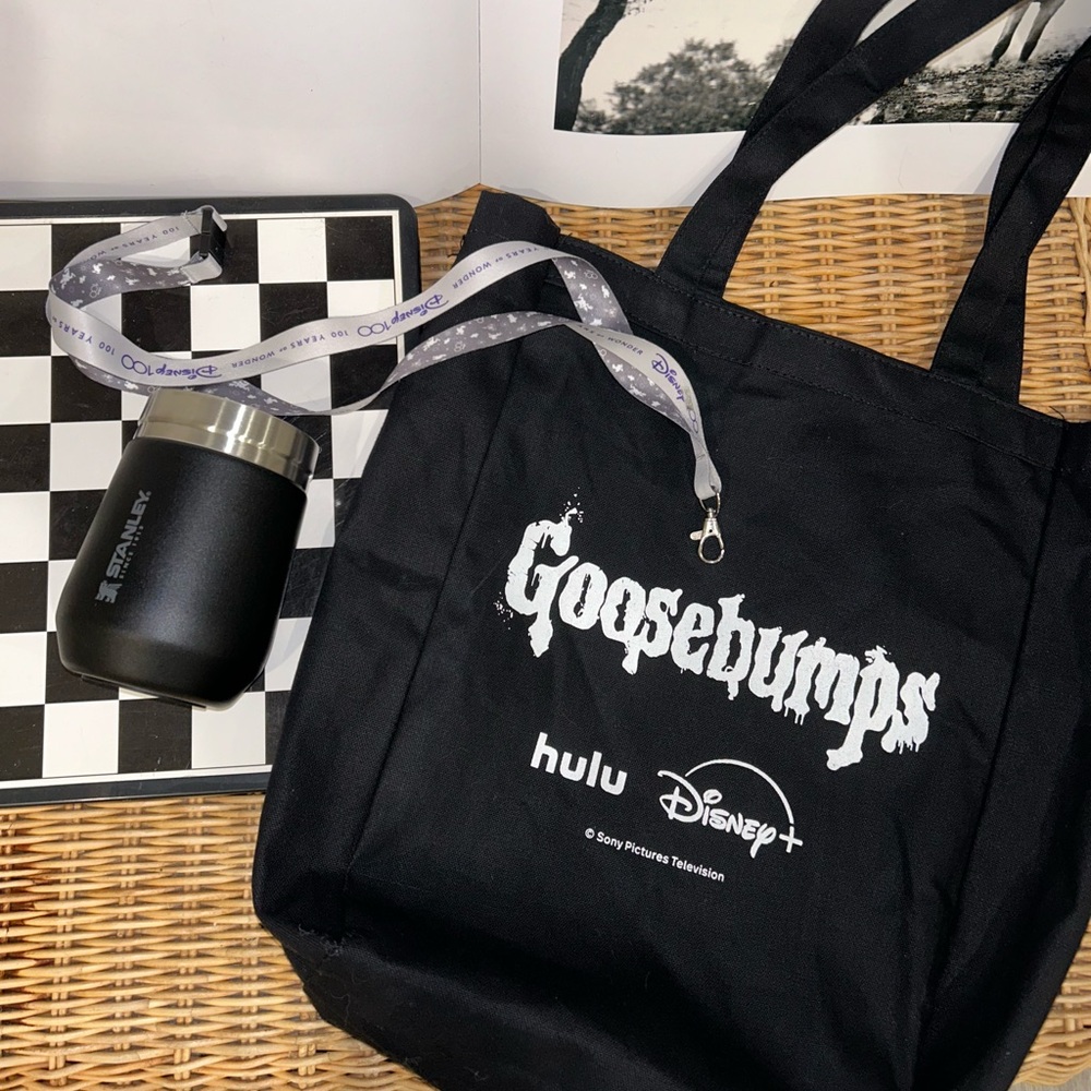 Disney goosebumps set w/ Stanley and totebag